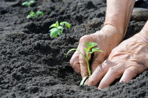 Agri Connect