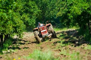 Agri Growth